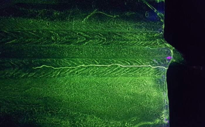 Flourescent Magnetic Particle Testing